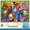 MasterPieces 300 Piece EZ Grip Jigsaw Puzzle - Feathered Reflections - 18"x24"