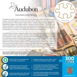 MasterPieces 300 Piece EZ Grip Jigsaw Puzzle - Creative Birding - 18"x24" -Puzzles Sales 2022 unnamed file 2031