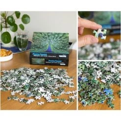 Toynk Peacock Plume Wild Zoo Animal 1000 Piece Jigsaw Puzzle -Puzzles Sales 2022 unnamed file 2227