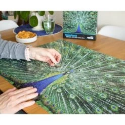 Toynk Peacock Plume Wild Zoo Animal 1000 Piece Jigsaw Puzzle -Puzzles Sales 2022 unnamed file 2228