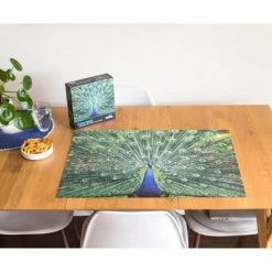 Toynk Peacock Plume Wild Zoo Animal 1000 Piece Jigsaw Puzzle -Puzzles Sales 2022 unnamed file 2229