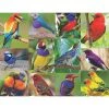 Springbok Spring and Summer: Birds of Paradise Puzzle 500pc
