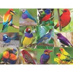 Springbok Spring and Summer: Birds of Paradise Puzzle 500pc