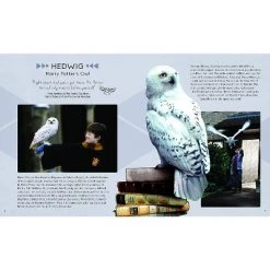 Incredibuilds Harry Potter Hedwig Book & Wooden Model Kit 9 Incredibuilds Harry Potter Hedwig Book & Wooden Model Kit -Puzzles Sales 2022 unnamed file 281