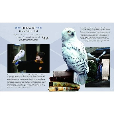 Incredibuilds Harry Potter Hedwig Book & Wooden Model Kit 5 Incredibuilds Harry Potter Hedwig Book & Wooden Model Kit - Image 5