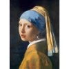Eurographics Inc. Girl with the Pearl Earring by Jan Vermeer de Delft 1000 Piece Jigsaw Puzzle