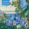 Adult Jigsaw Puzzle Kew: Marianne North: Amatungula and Blue Ipomoea, South Africa - (1000-Piece Jigsaw Puzzles) (Hardcover)