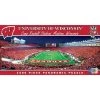 MasterPieces 1000 Piece Sports Jigsaw Puzzle - NCAA Wisconsin Badgers Endzone View Panoramic - 13"x39"