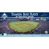 MasterPieces 1000 Piece Sports Jigsaw Puzzle - MLB Tampa Bay Rays Center View Panoramic - 13"x39"