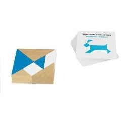 Professor Puzzle S.T.E.M. Engineering Tangram & Puzzle Cards Educational Games -Puzzles Sales 2022 unnamed file 462