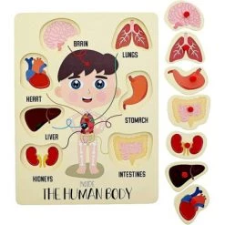 Blue Panda 2 Pack Educational Wooden Peg Puzzle for Toddler & Kids, My Human Body Parts, 12 x 9 in -Puzzles Sales 2022 unnamed file 5414