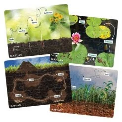 Kaplan Early Learning Company Kaplan Early Learning STEM Learning Realistic Animal and Plant Life Cycle Floor Puzzles - Set of 4