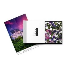 blanc Neuschwanstein at Dusk Jigsaw Puzzle – 500pc