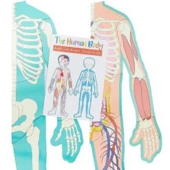 Blue Panda Large Human Body Floor Puzzle, Double-sided Skeleton & Anatomy Jigsaw Puzzles for Kids, Educational & Learning Toys, 3 ft, 17pc