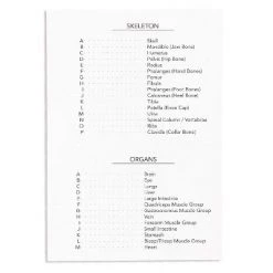 Blue Panda Large Human Body Floor Puzzle, Double-sided Skeleton & Anatomy Jigsaw Puzzles for Kids, Educational & Learning Toys, 3 ft, 17pc -Puzzles Sales 2022 unnamed file 974