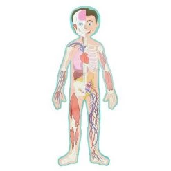 Blue Panda Large Human Body Floor Puzzle, Double-sided Skeleton & Anatomy Jigsaw Puzzles for Kids, Educational & Learning Toys, 3 ft, 17pc -Puzzles Sales 2022 unnamed file 975