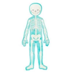 Blue Panda Large Human Body Floor Puzzle, Double-sided Skeleton & Anatomy Jigsaw Puzzles for Kids, Educational & Learning Toys, 3 ft, 17pc -Puzzles Sales 2022 unnamed file 976